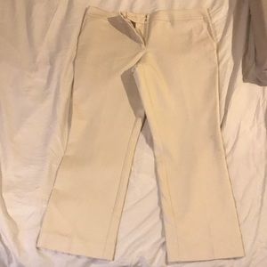 Ann Taylor ankle length signature pant